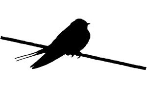 barn swallow silhouette