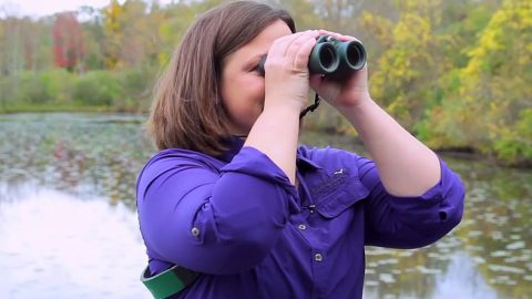 bird watcher with binoculars
