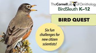 BirdQuest: A Way to Engage Kids in eBird