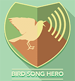 bird song hero tutorial