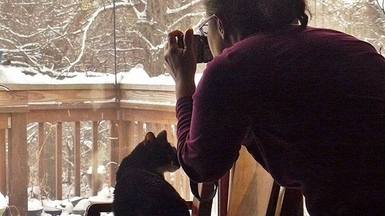 Cat watching birds with owner from indoors