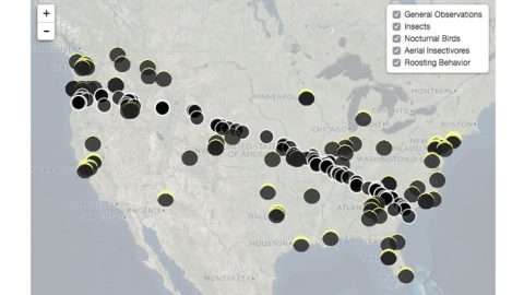 map of bird sightings during 2017 eclipse