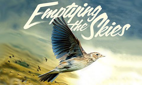 Emptying the Skies trailer and review