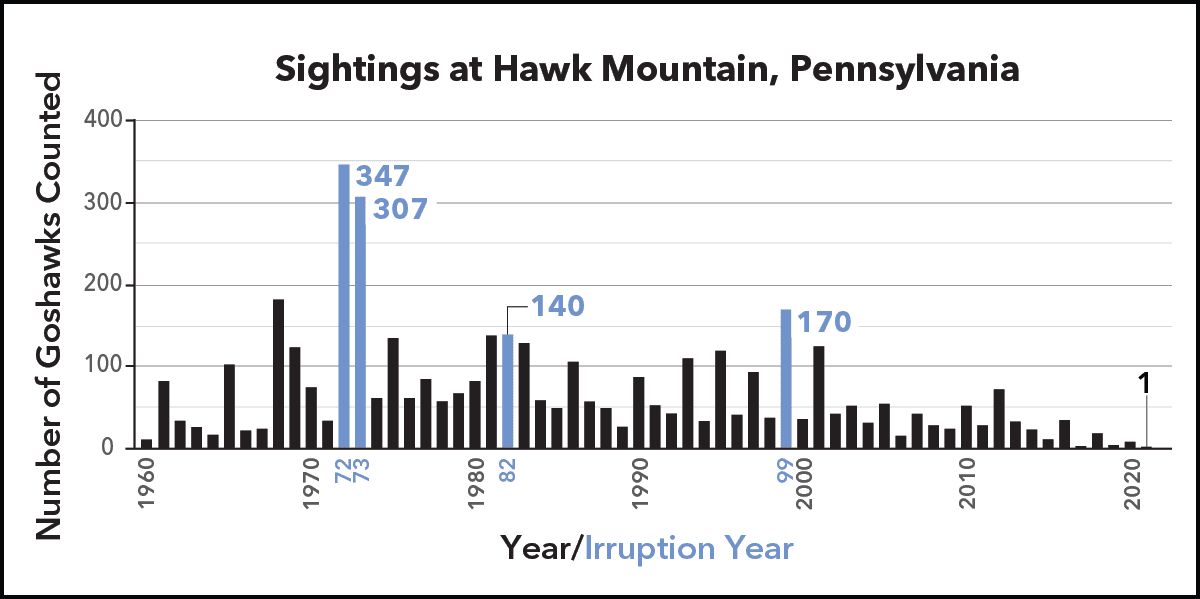 bar chart showing patterns in migration of Northern Goshawks at Hawk Mountain, Pennsylvania