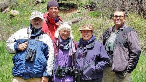 Kirsten Aamodt, April 2019 eBirder of the month