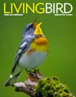 Living Bird cover photo spring 2017
