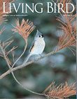 Living Bird, autumn 2013