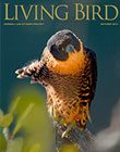 Living Bird, autumn 2014