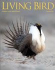 Living Bird, spring 2015