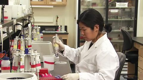 Mari Kimura working in the lab