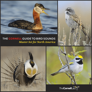 Cover of Master Set of Sounds from the Cornell Lab of Ornithology