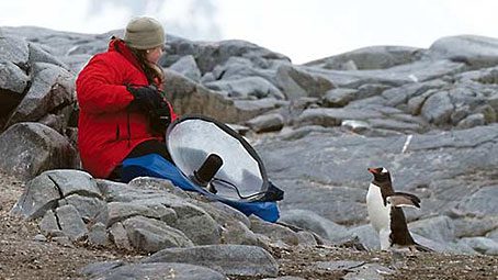 Jessie Barry, a scientist in the Macaulay Library, recorded penguins during a recent visit to Antarctica. by Chris Wood