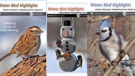 Winter Bird Highlights: FeederWatch Annual Reports 2005–Present