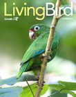 Living Bird cover, Autumn 2023, a green parrot with touches of red and turquoise.