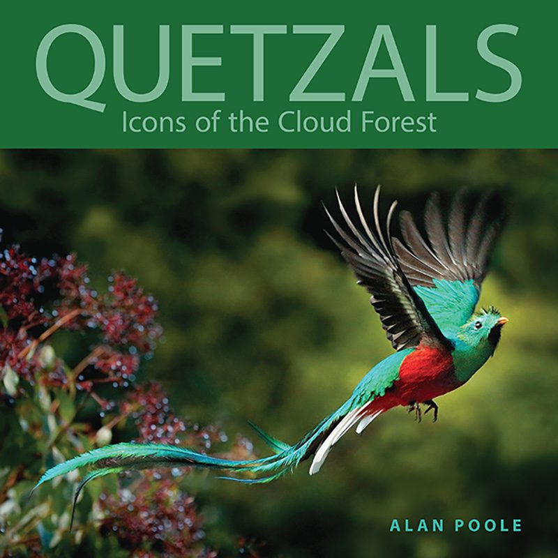 A book cover, text on image reads Quetzals Icons of the Cloud Forest, by Alan Poole.