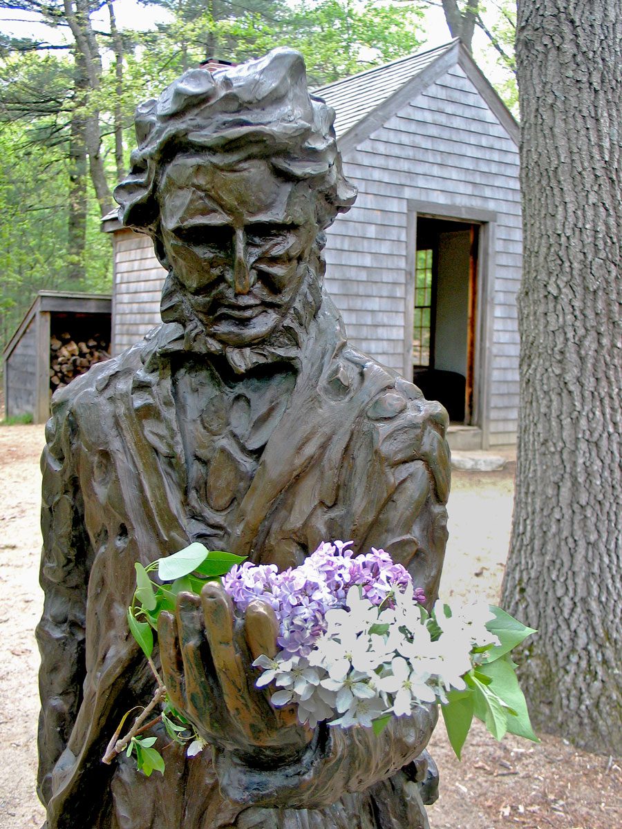 A statue of Henry David Thoreau with white and purple flowers in the statue's left hand. A small cabin is visible behind the statue.