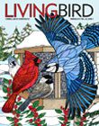 Living Bird 2017 cover, by Brenda Lyons