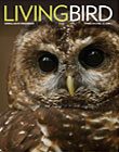 Living Bird spring 2016 cover image. photo by gerrit vyn